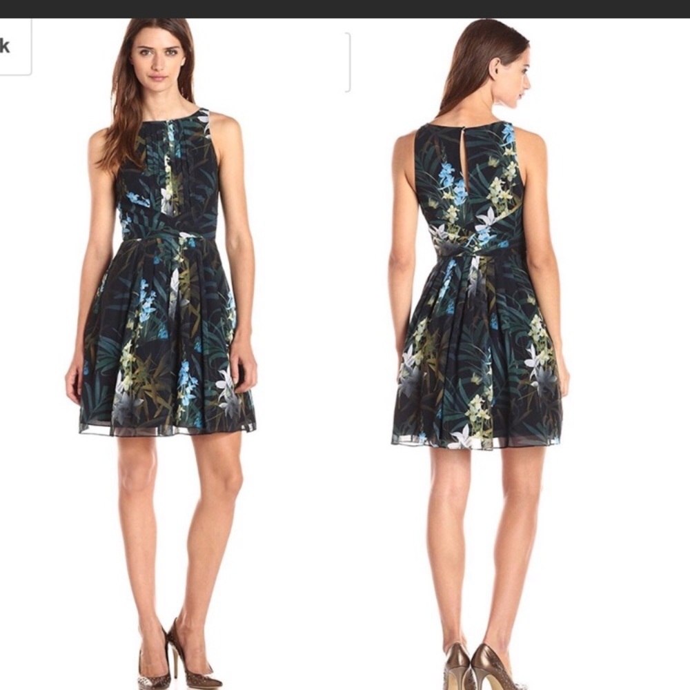 Ted Baker dress size 4.